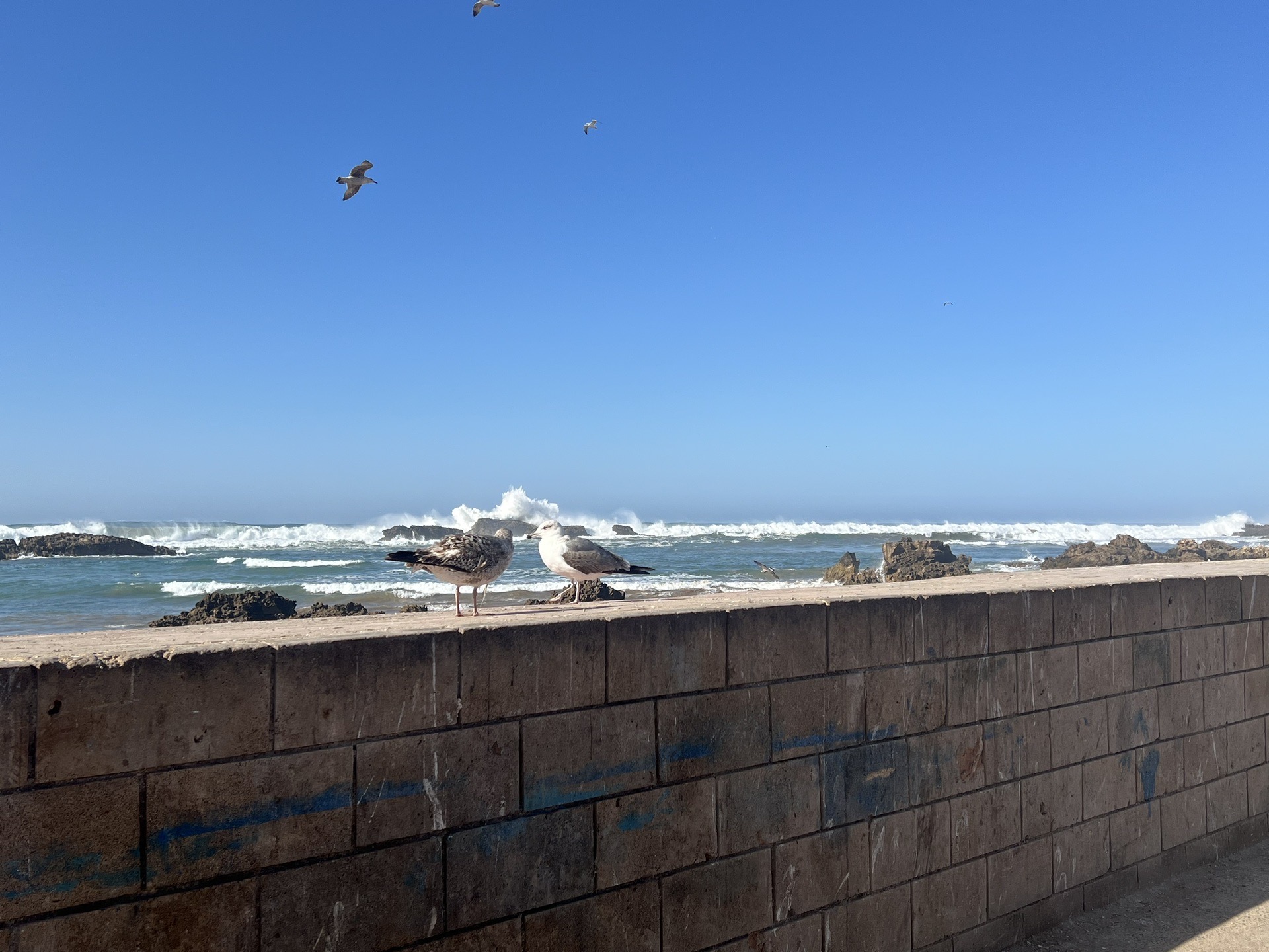 欧洲复兴开发银行2025年对摩洛哥投资额高达8.95亿欧元