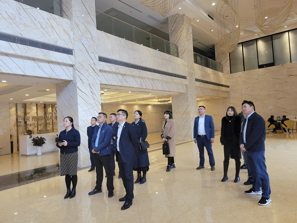 加纳和赞比亚将深化经济合作