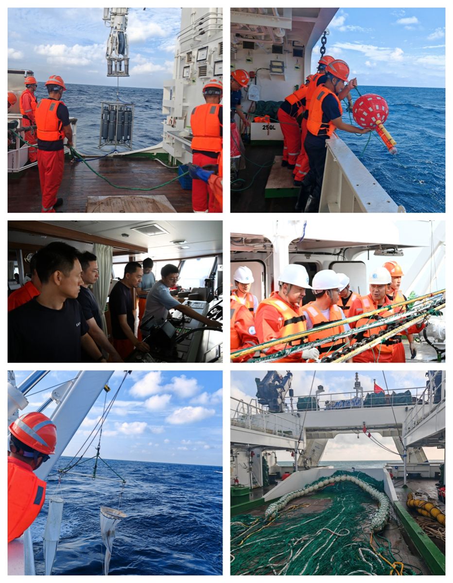 农业农村部专题研究远洋渔业工作