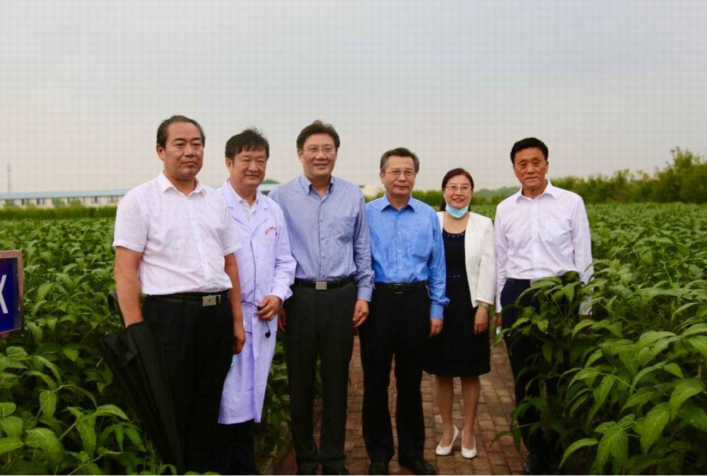 王文涛：感到每年外部环境没有“最”不确定、只有“更”不确定