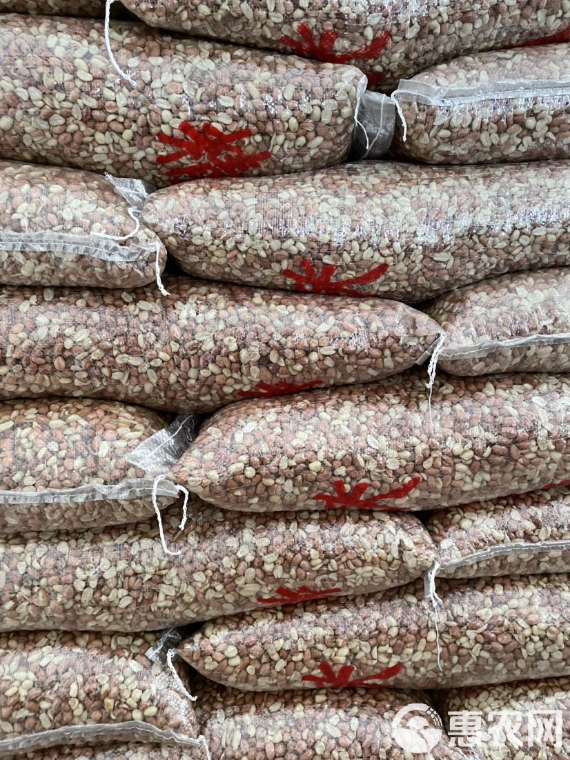 全国人大代表孙东伟：建议将花生作为油料的主力品种