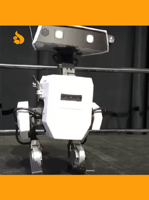 机器人概念活跃 方正富邦信泓近半年业绩跻身前3% 方正富邦人形机器人“三兄弟”重仓股全线飘红