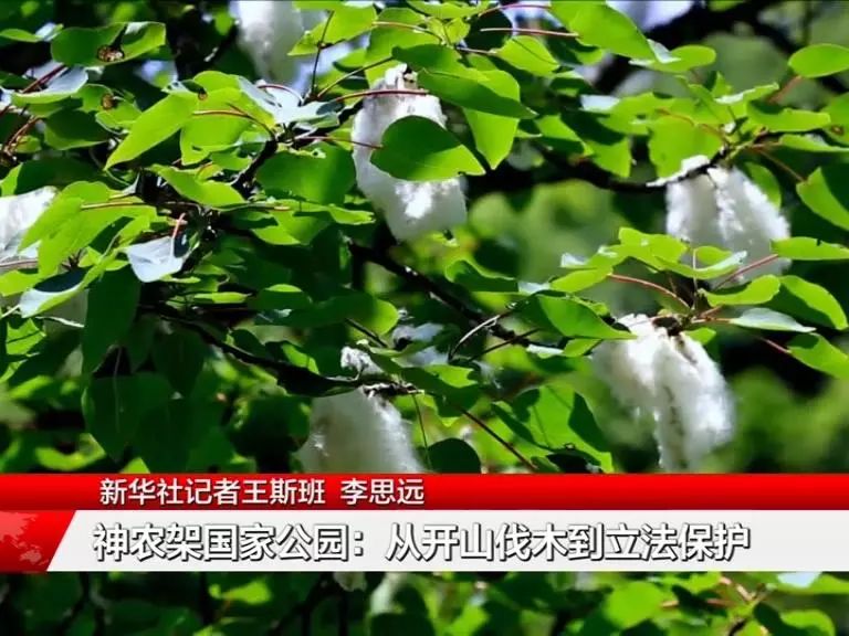 开山股份成交额创2015年6月5日以来新高