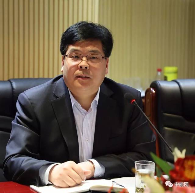 全国人大代表、九洲集团董事长李寅：推动分布式新能源就近消纳