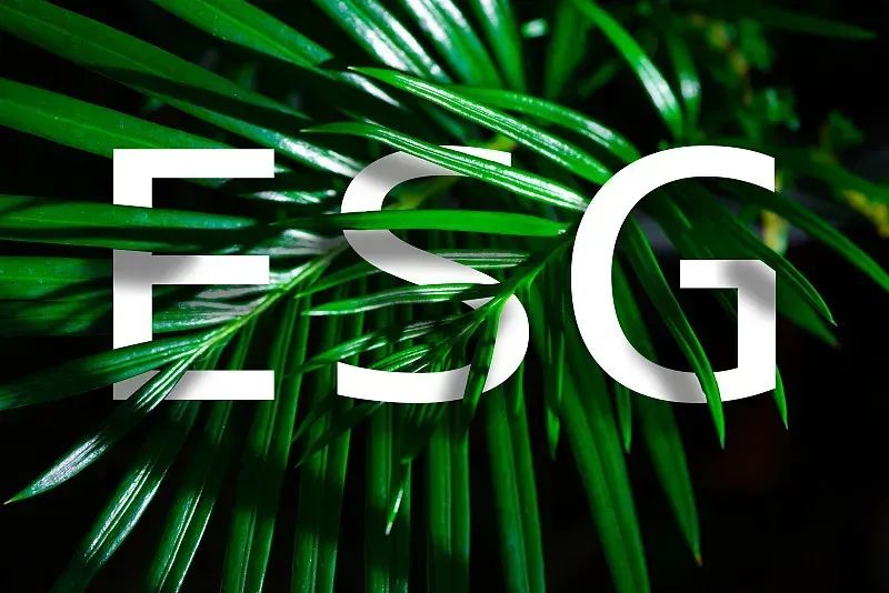 【ESG动态】嘉应制药（002198.SZ）获华证指数ESG最新评级C，行业排名第252