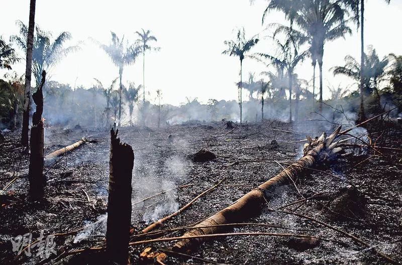 亚马逊发行540亿美元债券遭疯抢