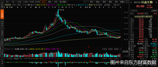 沃森生物：子公司签署海外市场战略合作协议