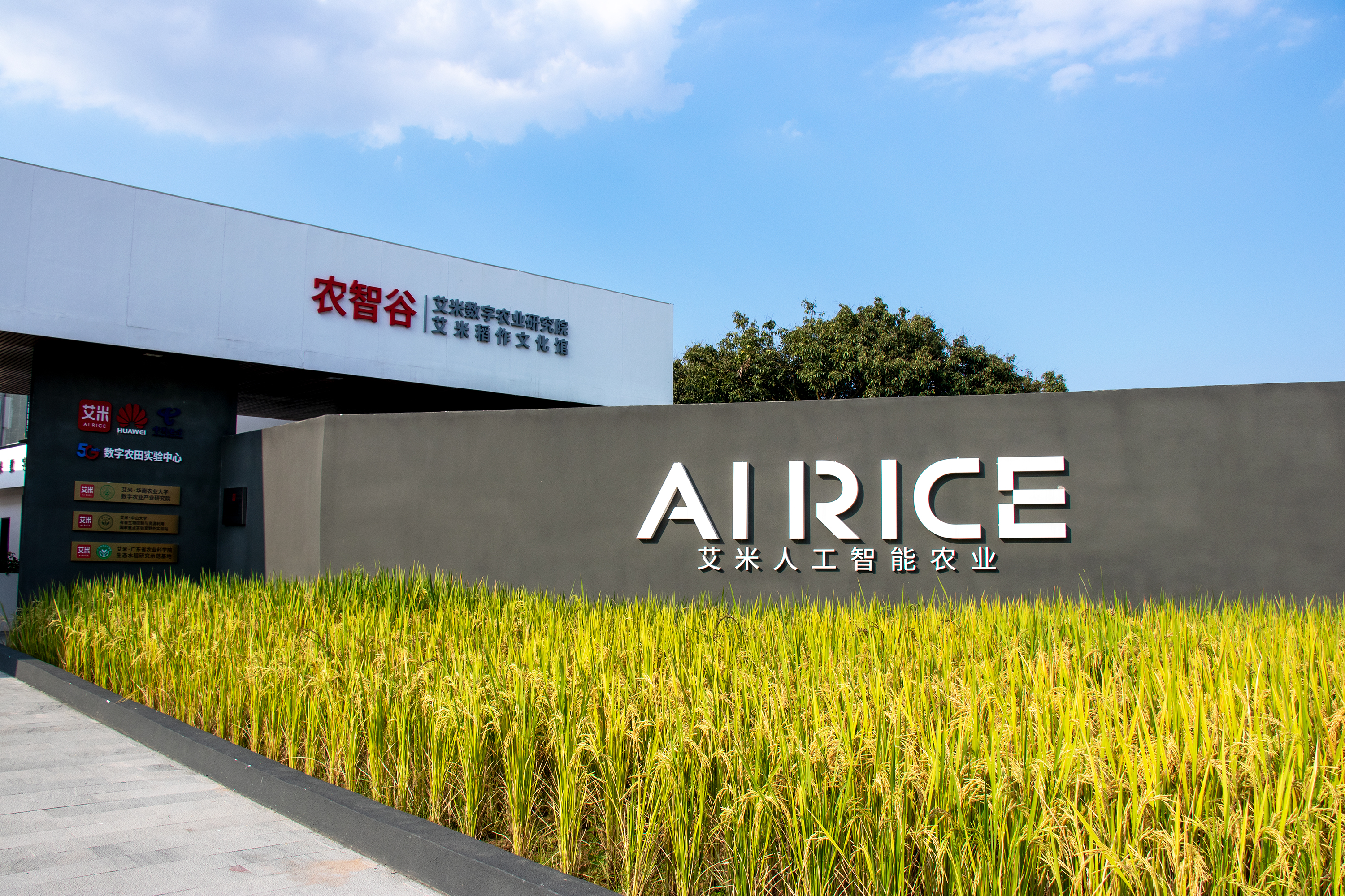 韩国政府推动建设“国家农业AI转型平台”