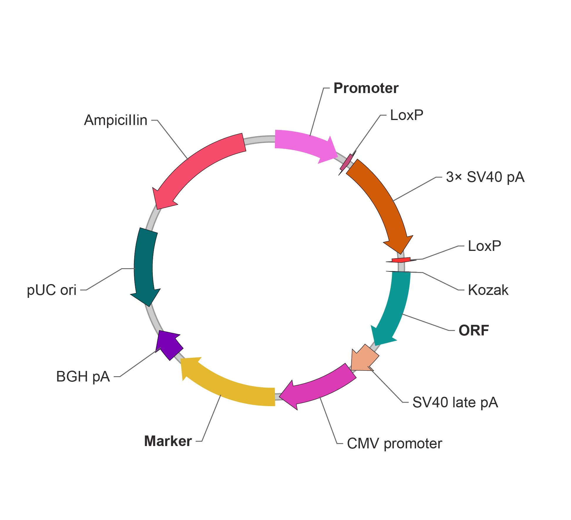 两连板法尔胜澄清 不存在重组情形