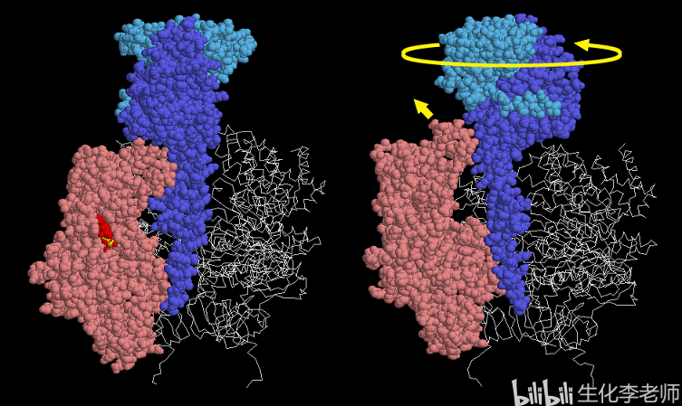 社会的基因密码：文化在αβγδ动力结构中的建构性作用
