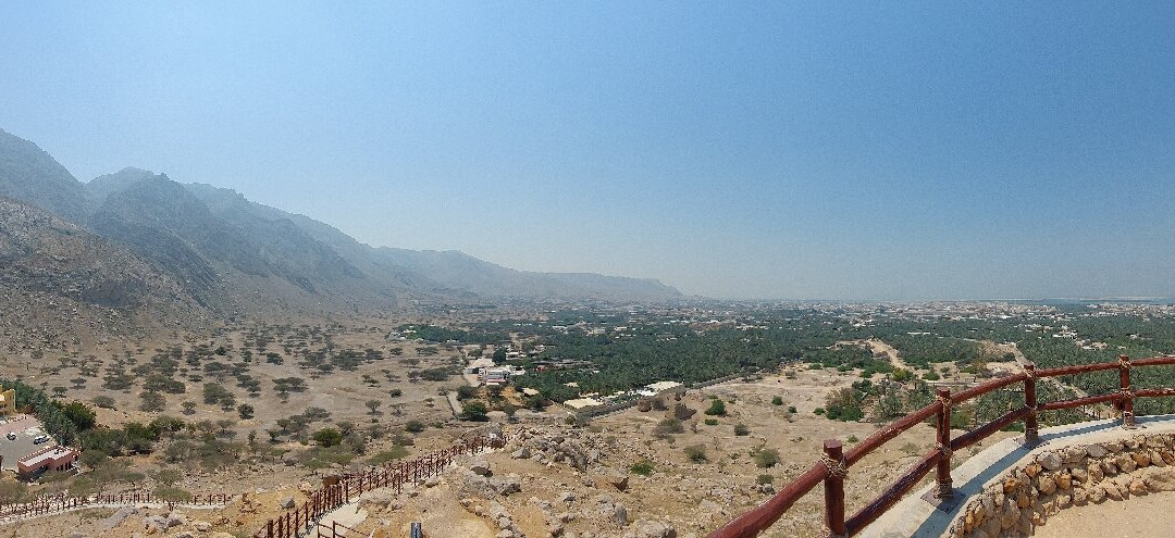 哈伊马角陶瓷集团2025财年业绩稳健