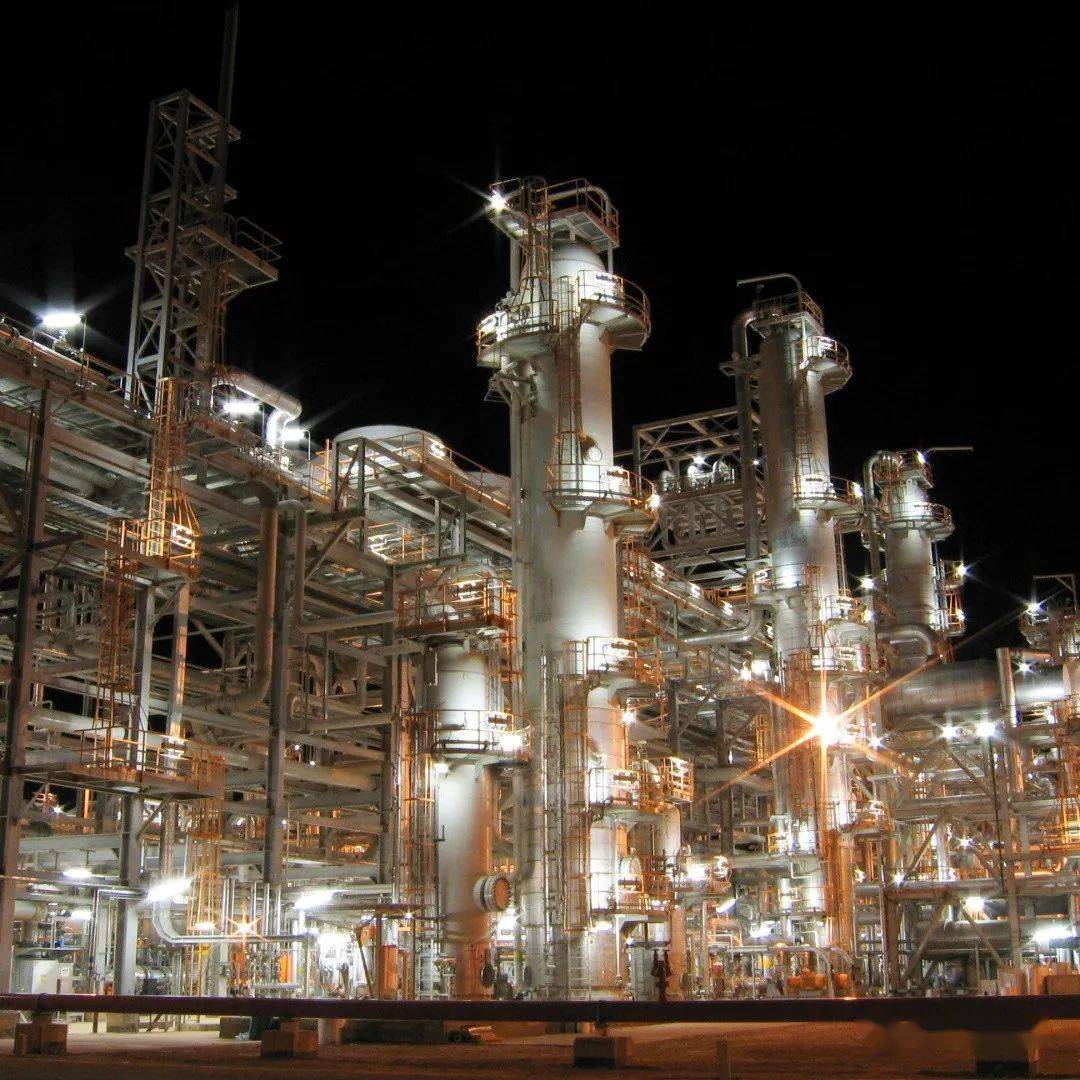 阿尔及利亚每年红肉产量缺口达5万吨