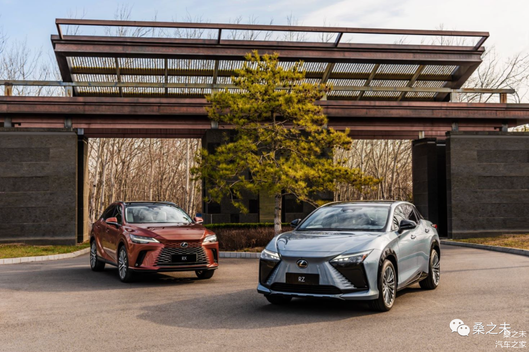 聚焦产业互惠 中国汽车加速拥抱全球南方