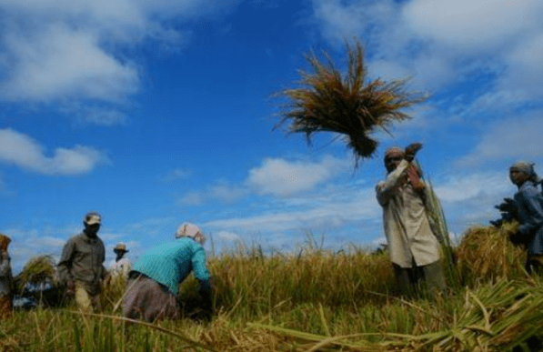 印度将出口商税收减免补贴减半
