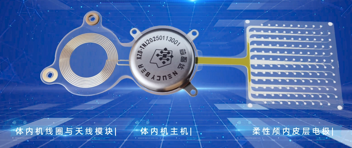 探馆中关村常设展：发丝支架疏导“脑内炸弹”，柔性电极破解脑机接口“掉线”难题