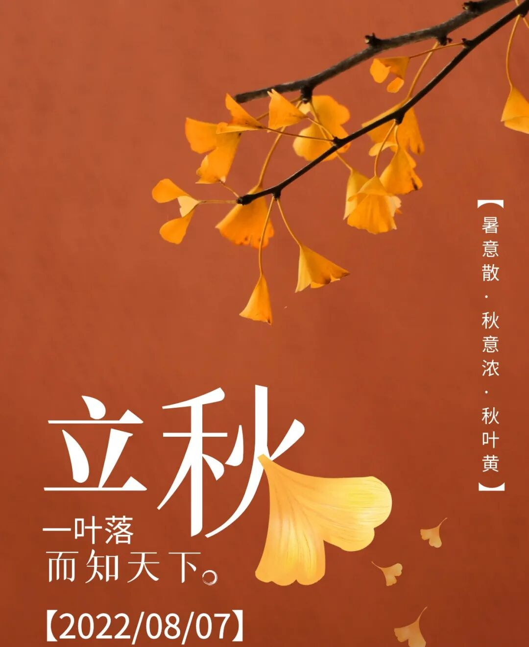 秋冻、贴秋膘、收敛心神……秋季养生你做对了吗